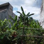Tanah Kavling Dijual di Taman Nusa Indah Malang