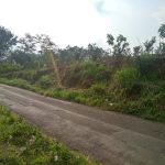Tanah Luas 2563 Meter Cocok Buat Usaha Dijual di Poros Jalan Raya Joyo Agung Malang