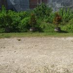 Tanah Kavling Dijual Murah Luas 323 Meter Cocok Buat Hunian Maupun Kost Kostan Dekat Kampus Brawijaya di Jalan Pinang Merah II Sukarno Hatta Malang