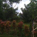 Tanah Kavling Dijual Murah Luas 240 Meter Dekat Kampus Ternama di Perumahan Villa Tlogomas & PNS Joyo Agung Kota Malang