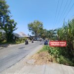Tanah Dijual Murah di Poros Jalan Raya Palwadak Bululawang Kabupaten Malang