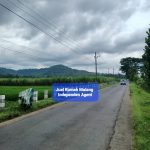 Tanah Dijual Murah Luas 953 Meter di Desa Purboyo Tajinan Kabupaten Malang