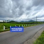 Tanah Dijual Murah Luas 953 Meter di Desa Purboyo Tajinan Kabupaten Malang